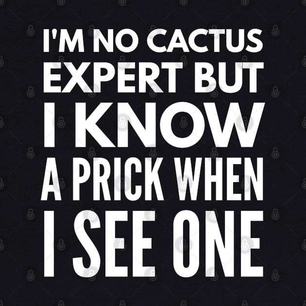 I'm No Cactus Expert But I Know A Prick When I See One - Funny Sayings by Textee Store